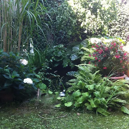 Daheim In Appartement