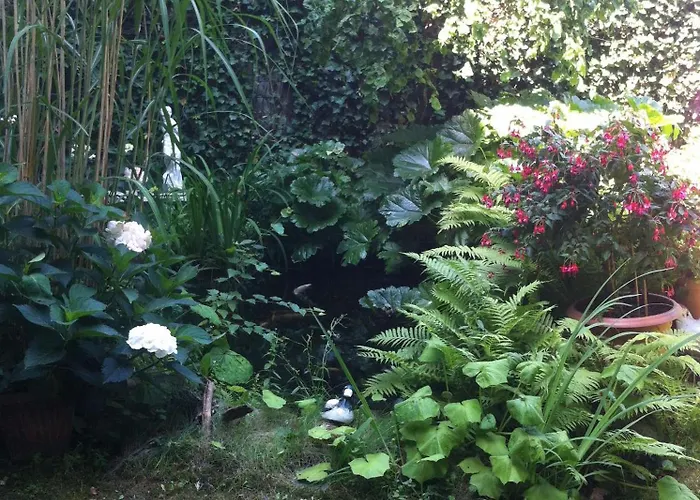 Daheim In Apartamento