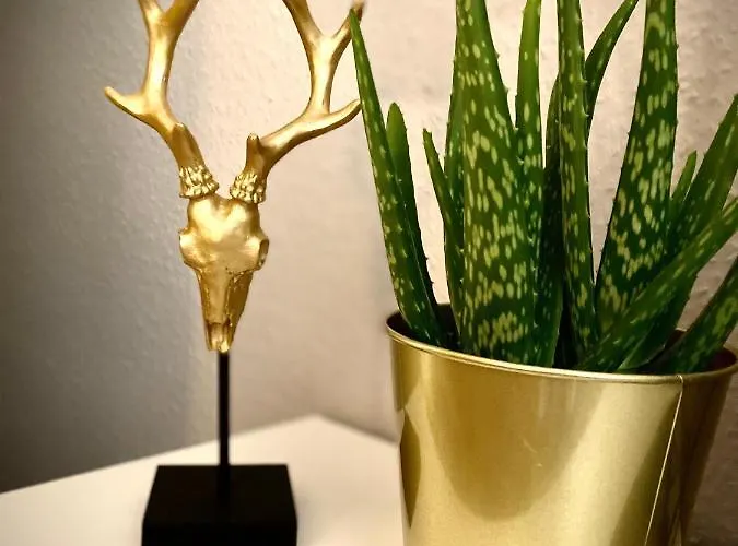 Daheim In Appartement